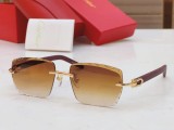 Mens sunglasses fake Polarized Cartier CT0013 CR206