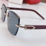 Mens sunglasses fake Polarized Cartier CT0013 CR206