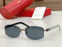 Cartier Mens sunglasses CR055