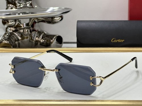 Cartier Mens sunglasses CA1806 ​CR164