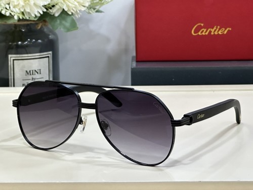 Cartier Best polarized sunglasses Wooden CT0272S CR142