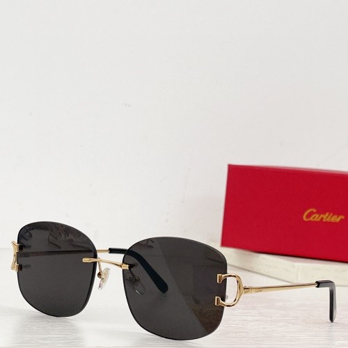 Mens sunglasses 2023 Cartier CT0032RS CR066