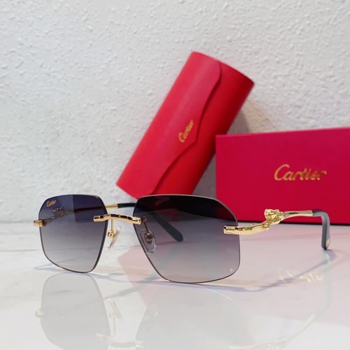 Designer Sunglasses for men Leopard Cartier CT0281O CR211
