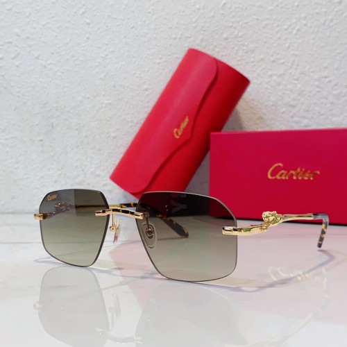 Designer Sunglasses for men Leopard Cartier CT0281O CR211