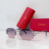 Polarized imposter sunglasses For men Octagon 2023 Cartier CT0092O CR210
