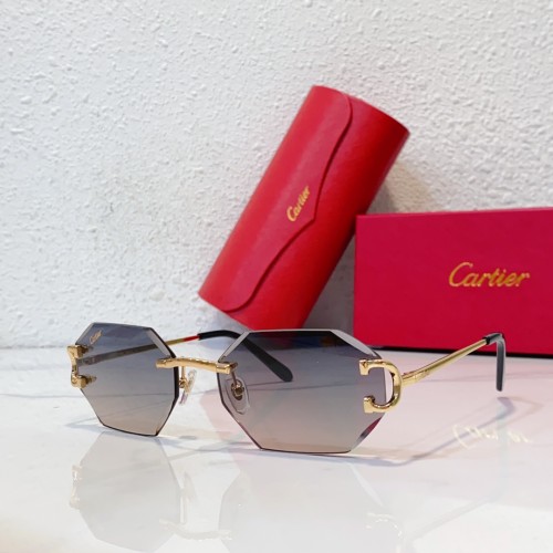 Polarized Sunglasses For men Octagon 2023 Cartier CT0092O CR210