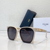 Outdoor imposter sunglasses for Mountaineering and Hiking CELINE CL40070 CLE079