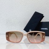 Affordable Designer imposter sunglasses and Eyeglasses A95048 SCHA205