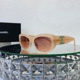 Women imposter sunglasses CH5493 SCHA213