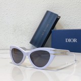 Women imposter sunglasses Dior Cat Eye B7I SC167