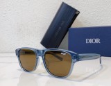 Dior ladies designer imposter sunglasses DIOFLAG2E SC171