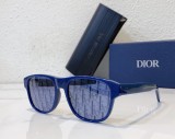 Dior ladies designer imposter sunglasses DIOFLAG2E SC171