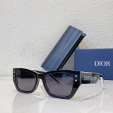 Dior fashion imposter sunglasses online DioAcific S2U SC169