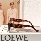Women Polarized imposter sunglasses LOEWE LW40036I SLW011