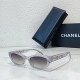 knockoff shadeses for women SCHA219