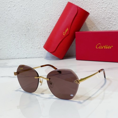Cartier Sunglasses Hexagon CR088