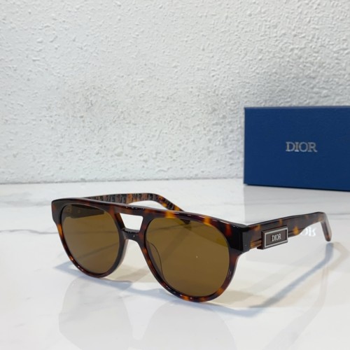 Dior replica sunglasses SC145