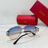 Cartier Replica shades CR039