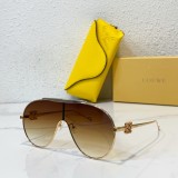 75% Off Fake Loewe Women's Sunglasses Model SLW019