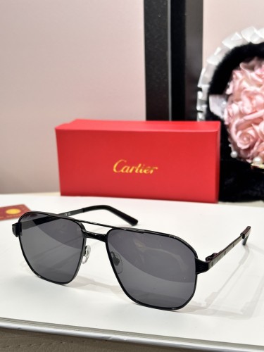 Cartier Sunglasses Dupe ct0424s