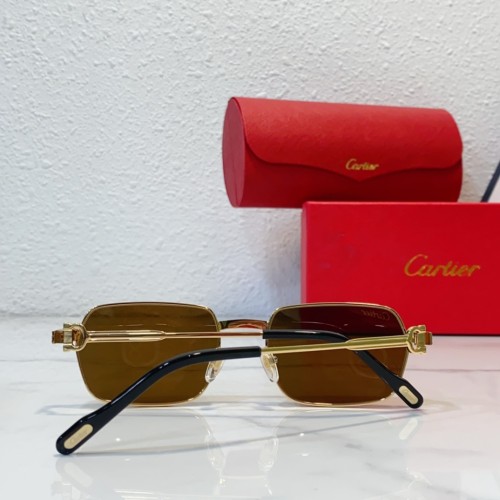 cartier CT0463S best sunglasses