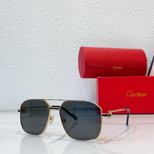 Sunglasses for Hiking & Outdoors cartier CT0333S