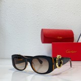 cartier CT0472S discounted sunglasses designer