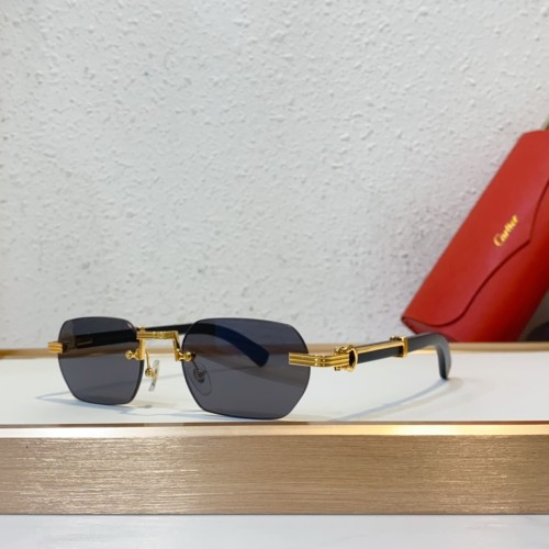 Copy cartier CT0362s Polarized sunglasses