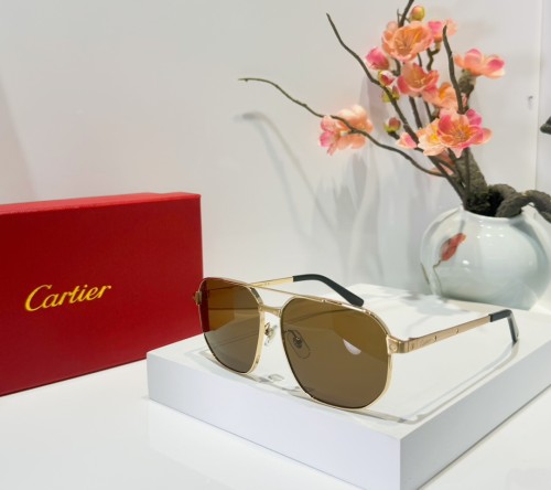 Mens Sunglasses Polarized cartier CT0462 Replica