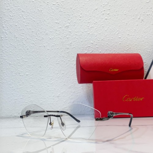 Glasses Cartier CT0429S