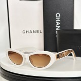 Copy replica chanel CH9132 Sunglasses for Hiking & Outdoors