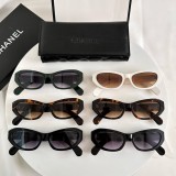 Copy replica chanel CH9132 Sunglasses for Hiking & Outdoors