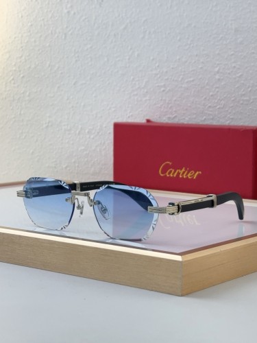 best polarized sunglasses dupe cartier CT0533S