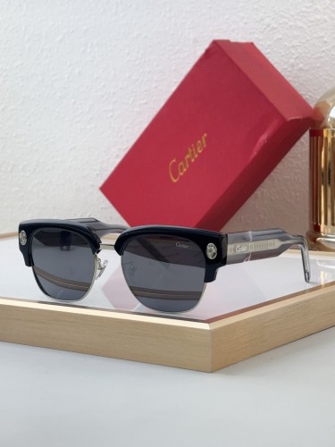 Copy cartier CT5912 Outdoor sunglasses for Mountaineering and Hiking