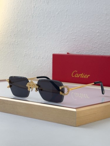 Copy cartier CT0679 Shop Prescription Hiking Sunglasses
