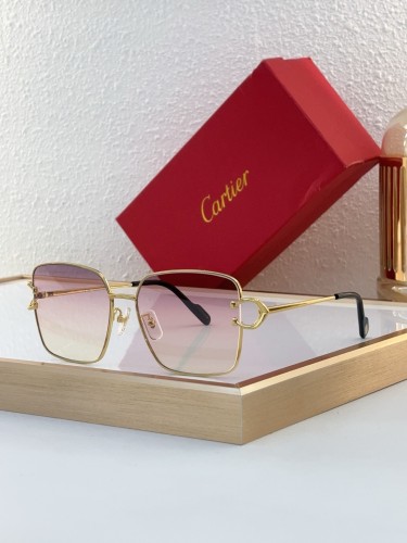 Shop Polarized Hiking Sunglasses Copy cartier CT0486O