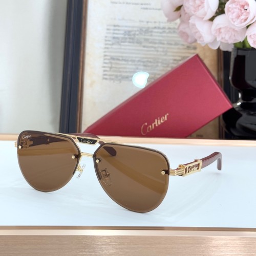 Copy cartier CT0860S Cheap Sunglasses For Women