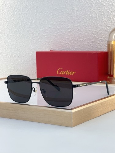 Copy cartier CT0525S 10 Best Hiking Sunglasses of 2025