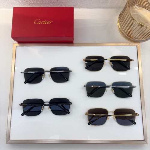 Copy cartier CT0525S 10 Best Hiking Sunglasses of 2025