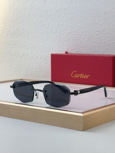 Copy cartier CT0902S Cheap Sunglasses Designer