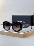 fashion sunglasses brands Copy chanel 5543