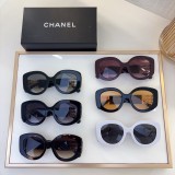 fashion sunglasses brands Copy chanel 5543