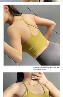 Y-shaped cross beautiful back sports underwear female net red fitness bra professional sexy suspenders beautiful back yoga vest bra
