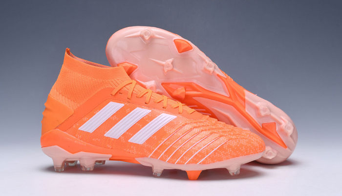 Predator 19 FG Football Boots
