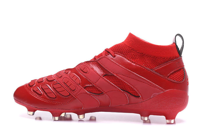 Predator Accelerator FG Beckham Capsule Collection Football Boots