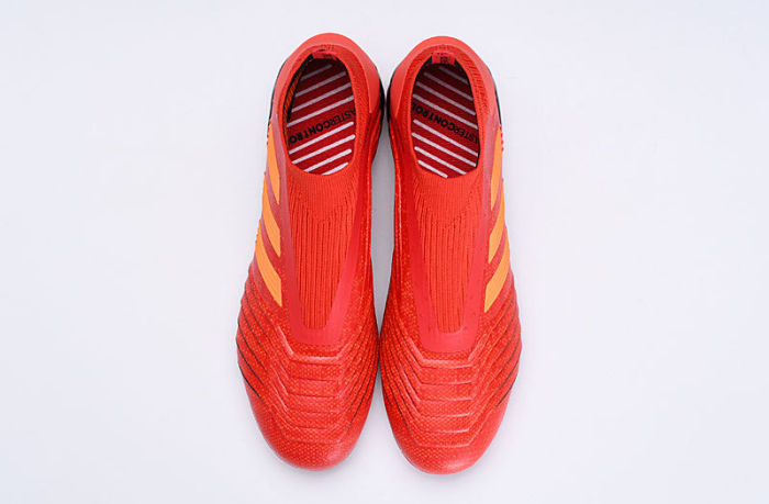 Predator 19 FG Football Boots
