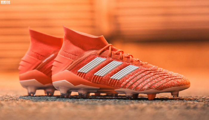 Predator 19 FG Football Boots