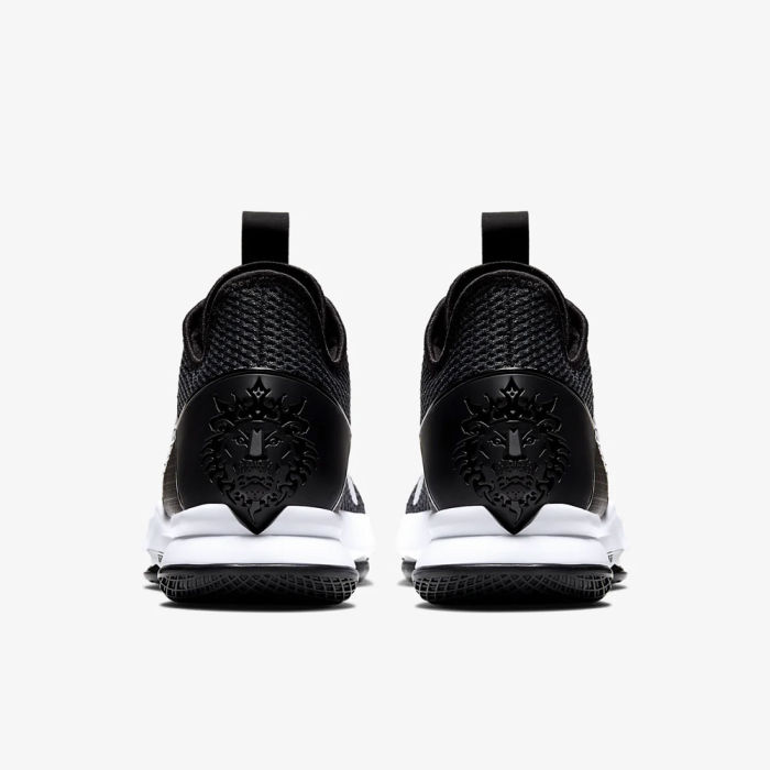 LeBron Witness 4