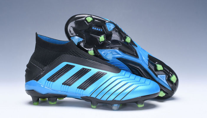 Predator 19 FG Football Boots
