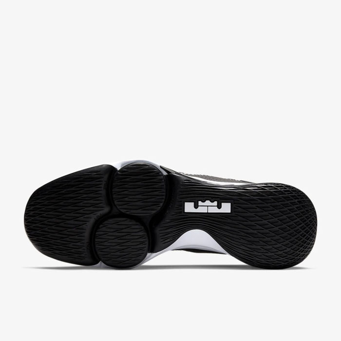 LeBron Witness 4